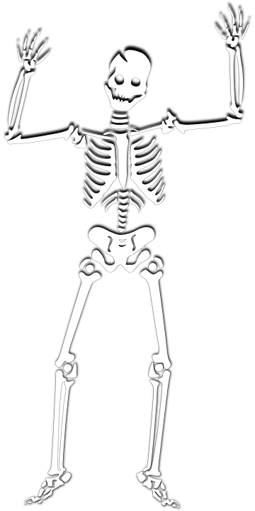 skeleton white for ghost tours